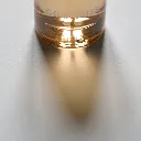 peau de bois-reflet.webp